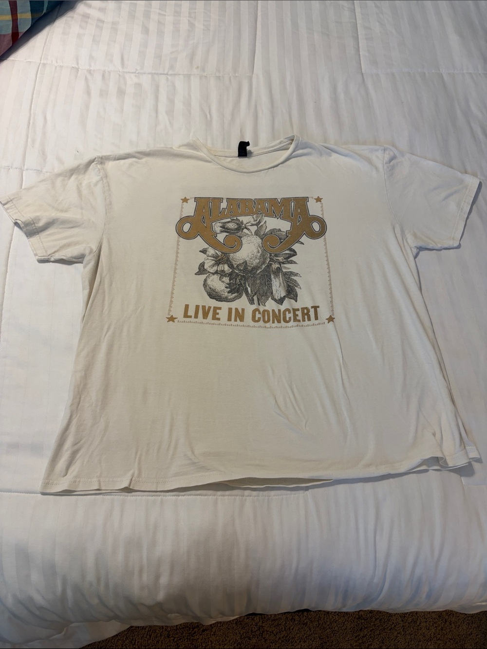 Vintage Alabama Concert T-shirt- Gildan Brand